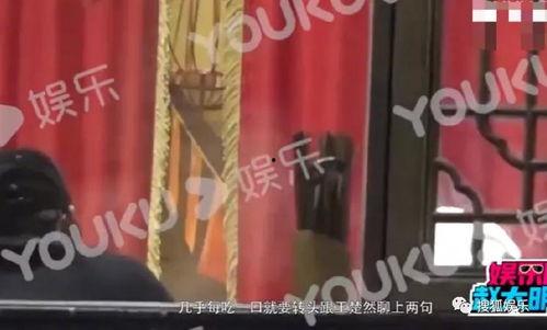 娱乐吃瓜王楚然是谁,揭秘娱乐圈背后的神秘人物