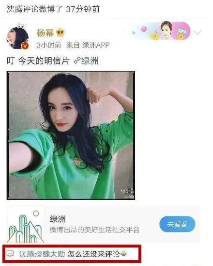 娱乐吃瓜小程序推荐,跟随吃瓜小程序，畅游八卦海洋