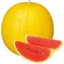 彩虹吃瓜娱乐,揭秘娱乐圈幕后故事